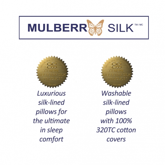 Mulberry Silk Lined Pillow