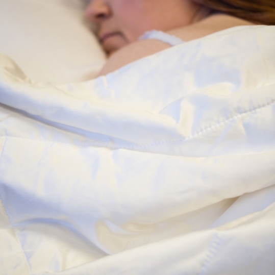 Mulberry Silk Pillowcases - Sold By Oceansales