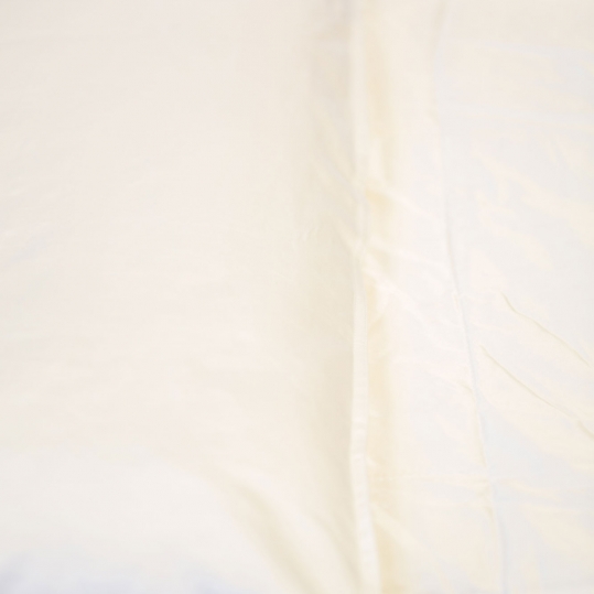 Mulberry Silk Pillow - Sold By Oceansales